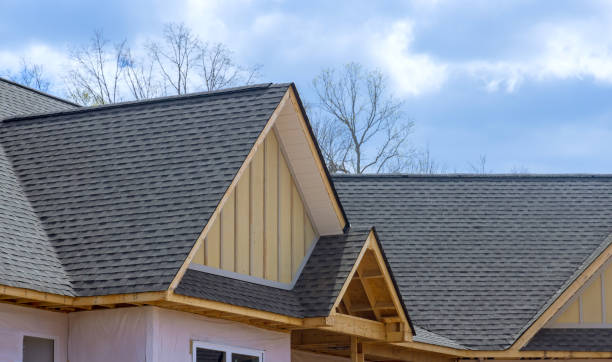 Best Skylight Installation and Repair  in Ganado, TX